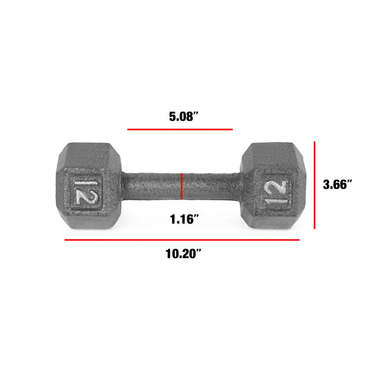 Cast Iron Single Hex 12lb Dumbbell for Home Gym Weight Lifting